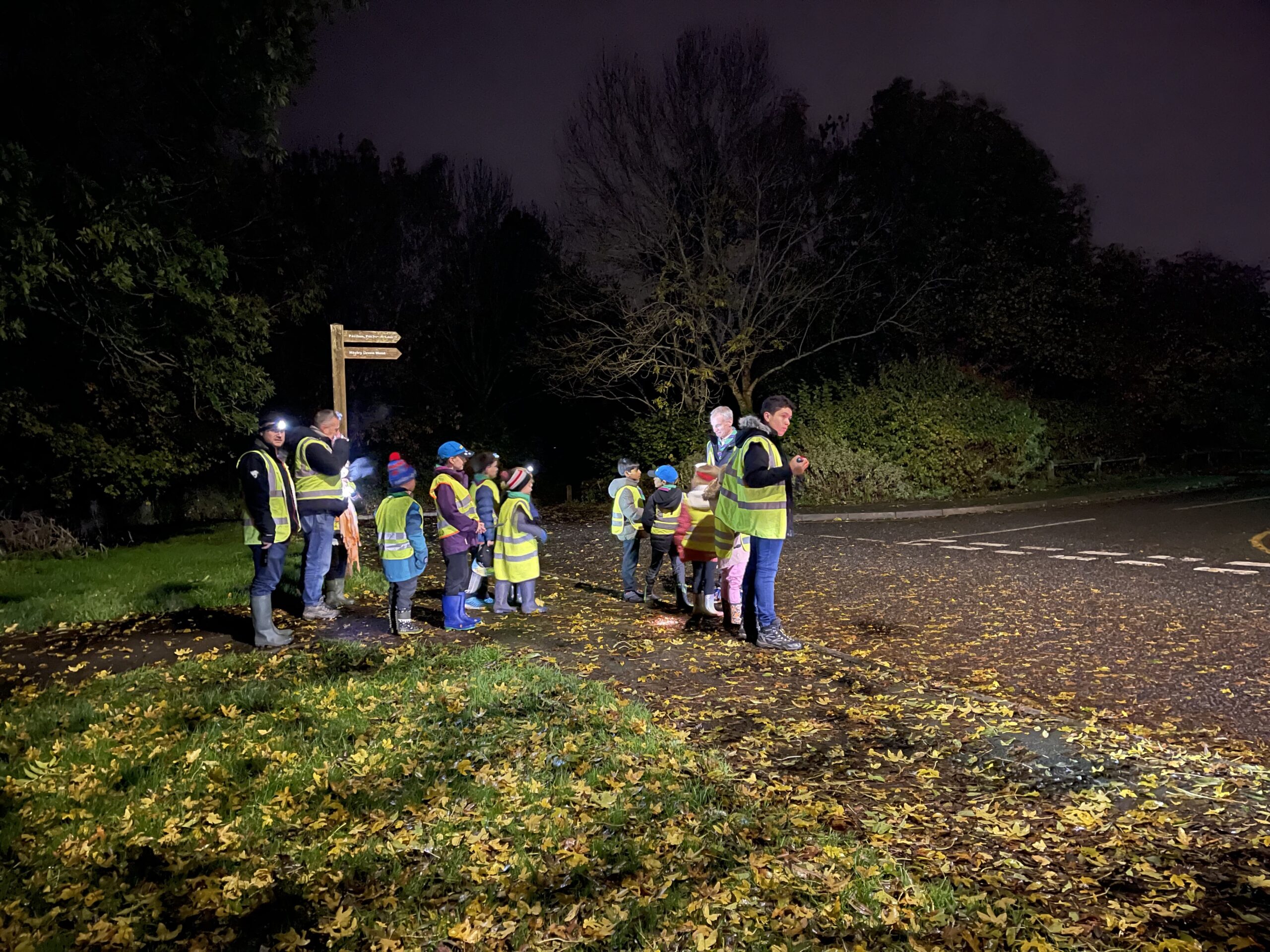 Beavers Night Hike