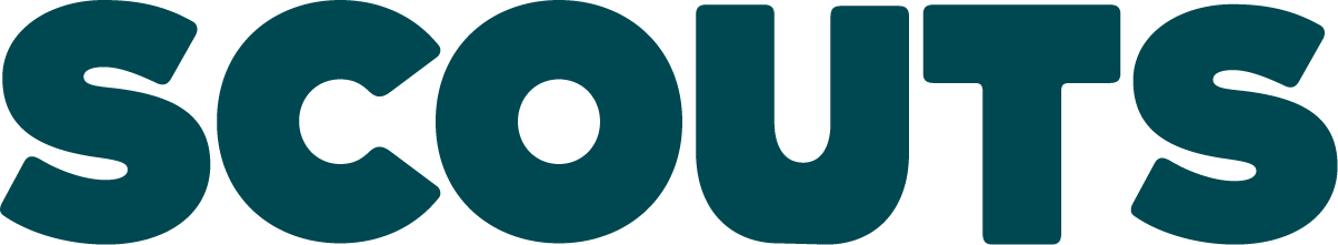 Scouts section logo